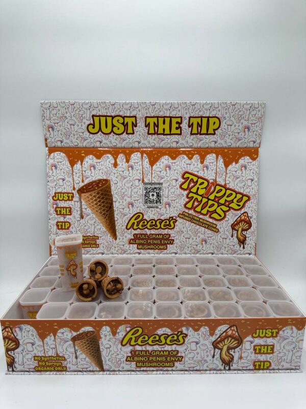 A sleek, stylish box labeled 'Trippy Tips Reese Albino Penis Envy Cone Master Box' containing pre-rolled cones filled with potent Albino Penis Envy mushrooms. The cones and packaging highlight the convenience and quality of this psychedelic product