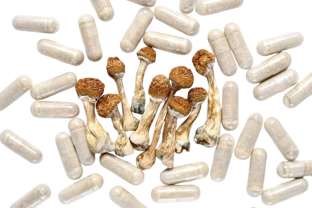 trippy tip shroom and capsule.png